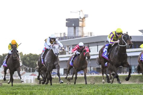 a to z of today's horse racing.